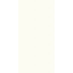 Paradyż Puris White płytka ścienna rekt. ultramat 59,8x29,8 cm biała