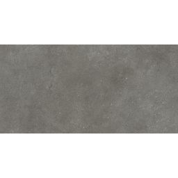 Opoczno Smooth Rockstone płytka ścienno-podłogowa 59,8x29,8 cm szara