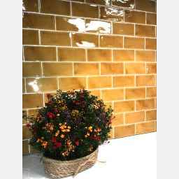 Amadis Seville Crackle Albero płytka cegiełka ścienna 13x6.5 cm żółta