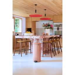 Brabantia NewIcon pojemnik na odpady 30 l 238741