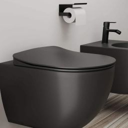 Deante Peonia deska sedesowa wolnoopadająca Slim titanium CDEDSOZ