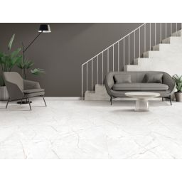 Ego Ceramics Prime Valencia Silver Grey płytka ścienno-podłogowa 60x60 cm