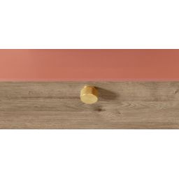 Elita Look uchwyt do szafki złoty połysk RE120010025570