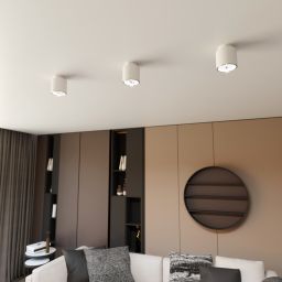 Emibig Nano lampa podsufitowa 1x10 W biała 1311/1