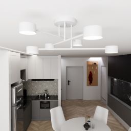 Emibig Halo lampa podsufitowa 6x10 W biała 1356/6