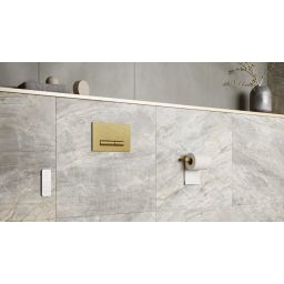 Excellent Aurro Fresh przycisk spłukujący do WC złoty INEX.AF230.150.GB