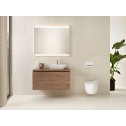 Geberit Sigma przycisk spłukujący do WC biały 115.788.11.2