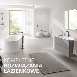 Grohe Essence bateria umywalkowa stojąca Brushed Hard Graphite 23590AL1