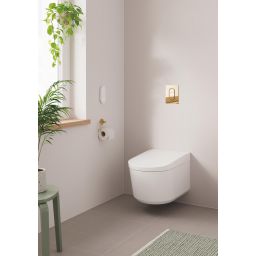 Grohe Arena Cosmopolitan S przycisk spłukujący cool sunrise 37624GL0