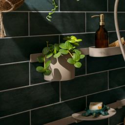 Hansgrohe WallStoris Planet Edition kubek na szczoteczki ścienny piaskowy 28916210