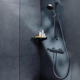 Hansgrohe Ecostat Element bateria prysznicowa ścienna termostatyczna chrom 13346000