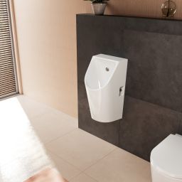 Hansgrohe EluPura Original S pisuar 62048450