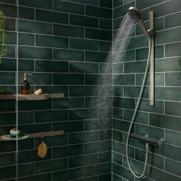 Hansgrohe WallStoris Planet Edition uchwyt prysznicowy piaskowy 28918210