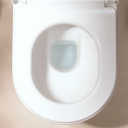 Hansgrohe EluPura Original S kompakt WC + deska sedesowa biały 60205450