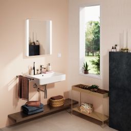 Hansgrohe Xanuia Q umywalka 60x48 cm prostokątna ścienna biała 60133450