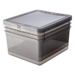 Keeeper Bea Clearbox pojemniki do przechowywania (3 szt) zestaw przezroczysty-szary 3003182700000