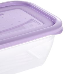 Keeeper Fredo Fresh pojemniki na żywność (5 szt) zestaw przezroczysty-fioletowy 3067252500000
