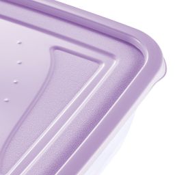 Keeeper Fredo Fresh pojemniki na żywność (3 szt) przezroczysty-fioletowy 3067552500000