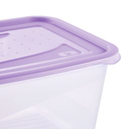 Keeeper Fredo Fresh pojemniki na żywność (2 szt) zestaw przezroczysty-fioletowy 3067652500000
