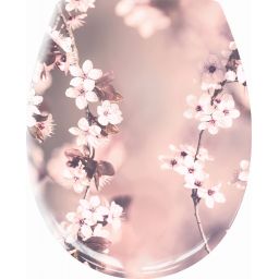 Kleine Wolke Blossom deska sedesowa uniwersalna wolnoopadająca kwiaty 1857401075