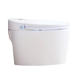 Major&Maker Luxurious toaleta myjąca stojąca biała 1013BQ