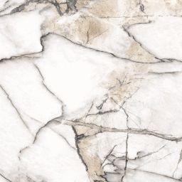 Museum by Peronda Premiere White Shaped płytka ścienno-podłogowa 100x100 cm