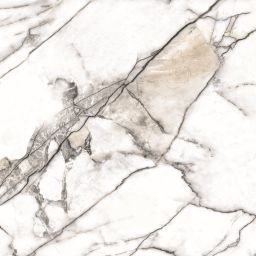 Museum by Peronda Premiere White Shaped płytka ścienno-podłogowa 100x100 cm