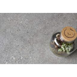 Peronda Manhattan Grey As płytka ścienno-podłogowa 60x60 cm