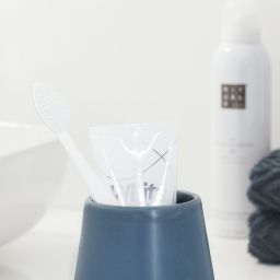 Sealskin Conical kubek do mycia zębów niebieski 362330424