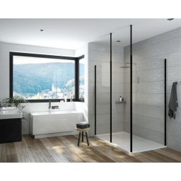 Sanplast Exa Line ścianka prysznicowa walk-in 120 cm czarny mat/szkło przezroczyste 600-540-1560-59-401