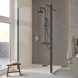 Besco Eco-N Black ścianka prysznicowa Walk-In 120 cm czarny mat/szkło przezroczyste ENB-120-195C