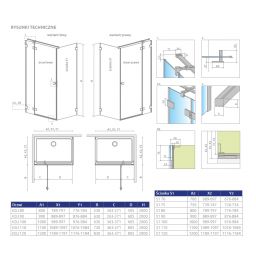 Radaway Essenza Pro KDJ ścianka prysznicowa 100 cm boczna szkło przezroczyste 10098100-01-01