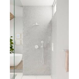 Hansgrohe Raindance Select S słuchawka prysznicowa biały mat 26530700