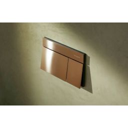 Hansgrohe Element E przycisk spłukujący do WC brąz szczotkowany 66003140