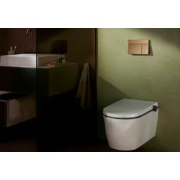 Hansgrohe Element E przycisk spłukujący do WC brąz szczotkowany 66003140