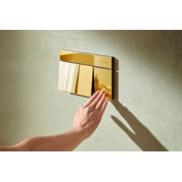 Hansgrohe Element E przycisk spłukujący do WC złoty 66003990