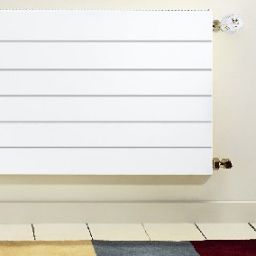 Purmo Ramo Compact grzejnik płytowy 60x40 cm podłączenie boczne biały RC22 600x400