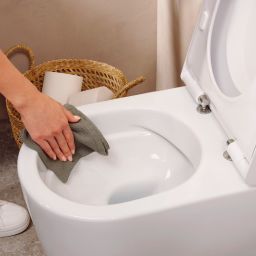 Hansgrohe EluPura S miska kompakt WC biały 61163450