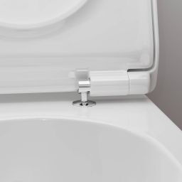 Hansgrohe EluPura S miska WC z deską wolnoopadającą wisząca bez kołnierza ze spłukiwaniem wirowym biały połysk 60344450