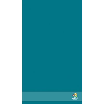 Ręcznik łazienkowy 50 x 90 cm aquamarine Euro 2012 EUR5090N