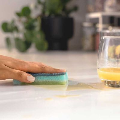 Vileda Pro Clean zmywak do naczyń 2 szt 179255