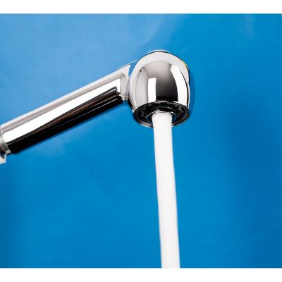 Duschy Spot słuchawka prysznicowa do baterii kuchennej chrom 438-90