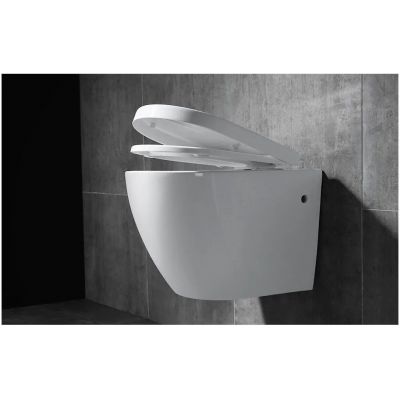 Rea Carlo Mini Rimless miska WC wisząca z deską wolnoopadającą ABS/ZM biały REA-C1000
