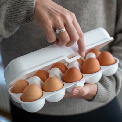 Koziol Eggs To Go pojemnik na jajka zielony 3179668