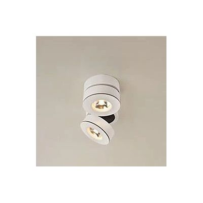 Abigali Commercial lampa podsufitowa 2x12W LED biała ONBL12WW-2