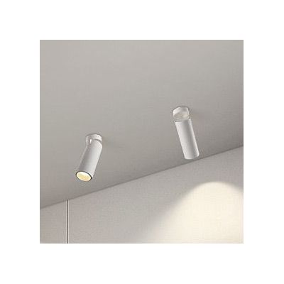 Abigali Posh lampa podsufitowa 1x12W LED biała LWQT-W-12-24WW-DIM