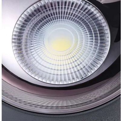Abigali Vaiolett lampa podsufitowa 1x10W LED czarna DL10C-WW