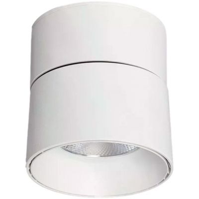 Abruzzo Estetica LED Romeo lampa podsufitowa 1x30 W LED biały ABR-LPR-30W-B-NW