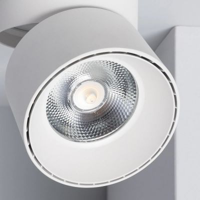 Abruzzo Estetica LED Romeo lampa podsufitowa 1x30 W LED biały ABR-LPR-30W-B-NW