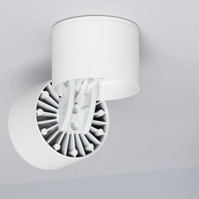 Abruzzo Estetica LED Romeo lampa podsufitowa 1x7 W LED biały ABR-LPR-7W-B-WW